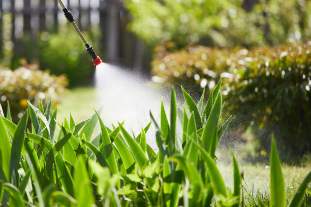 24/7 Emergency Mosquito Control experts in Lyons, NJ