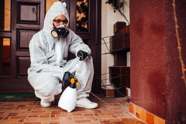 Reliable Mosquito Control contractor in Lyons, NJ by Nex Pest Control